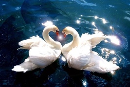 FREE W $75 THROUGH FEB 14TH 27X HAUNTED FULL COVEN CLEANSE/EMPOWER LOVE MAGICK  image 2