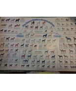 Gaines DOG BREEDS POSTER - $7.00