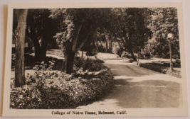 College of Norte Dame Belmont California Outdoor Pathway Photo Vintage P... - £4.62 GBP