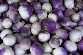 Rutabaga Seeds 500 American Purple Top Vegetable Nongmo Heirloom - £6.55 GBP