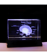 Human Brain Structure Cut Etched Glass Cube 3d Laser Engraved Crystal Cube - $123.02 CAD