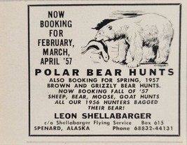 1956 Print Ad Polar Bear Hunts Leon Shellabarger Flying Service Spenard,Alaska - £5.92 GBP