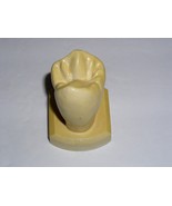 Dental Tooth Model Plaster Cast Anatomy Morphology Teaching Upper 1st Bi... - $366.80 MXN