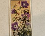 Meadow Cranes Bill Wild Flowers Wills Vintage Cigarette Card #12 - $2.96