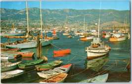 Yacht Harbor Santa Barbara California Postcard - £5.38 GBP