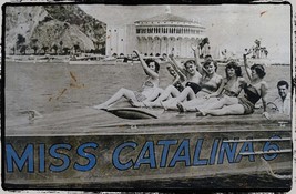 Miss Cataline Vintage Beach Babes Photo Metal Sign - $16.95