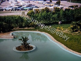 1959 Marineland Pacific Parking Lot Cars Pond California Kodachrome 35mm Slide - £4.35 GBP