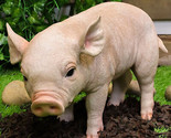 Large Adorable Realistic Animal Farm Babe Pig Piglet Statue 15&quot;L Rustic ... - $64.99