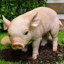 Large Adorable Realistic Animal Farm Babe Pig Piglet Statue 15&quot;L Rustic ... - £51.76 GBP