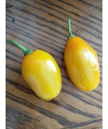 Honey Badger Manzano Chile pepper seeds (FREE SHIPPING to USA) (24) - $3.30