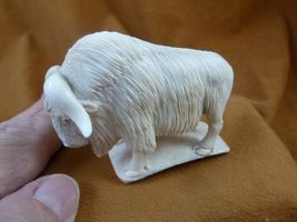 musk-w9 white Musk Ox of shed ANTLER figurine Bali detailed Arctic muskox - $201.99