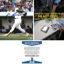 Jose Canseco Oakland A&#39;s signed baseball 8x10 photo Beckett COA proof autograph- - £74.03 GBP