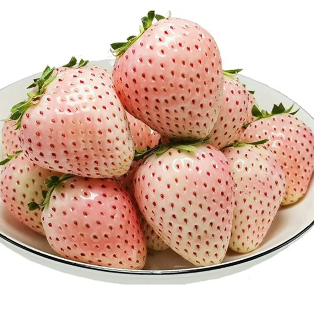 5 Bags of &#39;Littile White&#39; Series Small White Strawberry - £11.00 GBP