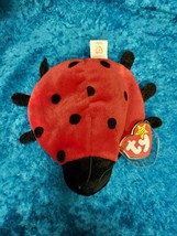 Ty Lucky the Ladybug 1993 Tush Tag – PVC Pellets – Retired – Excellent C... - $55.45 MXN