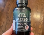 SECRET ELEMENT Irish Sea Moss Caps Organic Wild Crafted Irish Seamoss ex... - $20.76