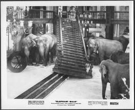 Elephant Walk - Elizabeth Taylor 1953 Movie Publicity Photo #11498-61 - £10.22 GBP