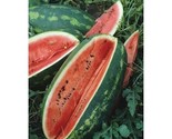 Congo Watermelon Seeds 25 Seeds Non-Gmo Large Red Meat - $8.99
