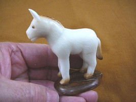 TNE-BUR-454) Burro Donkey Mule TAGUA NUT Figurine carving VEGETABLE love... - $27.20