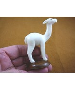 (TNE-LLA-461A) little white baby Llama farm TAGUA NUT nuts palm figurine... - £19.79 GBP