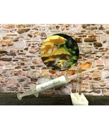 10ml / 60ml Yellow Oyster Mushrooms Specialist Range  Liquid Mycelium Culture / - $8.71 - $41.14
