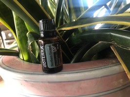 doTERRA Northern Escape 15 mL Essential Oil  NEW &amp; SEALED Exp 10/27 - €19,79 EUR