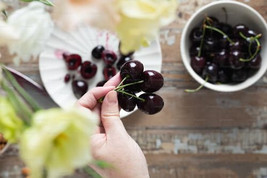 Fresh 10 Black Tartarian Cherry Seeds for Garden - €6,88 EUR