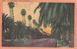 Palm Drive California CA Trees 1953 Santa Ana Postcard C22 - $2.99