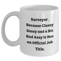 Surveyor Quote Funny Coffee Mug Birthday Unique Gifts for Him Her Friend... - $16.61+