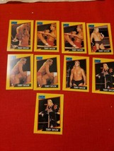 WCW Terry Taylor 9 Card Lot - $20.99