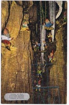 Georgia Postcard Rock City Gardens Gnomes At Play Fairyland Caverns - $2.12