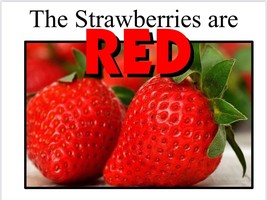 RED | The Strawberries are Red  | LEARNING COLORS | Spiral Bound Picture... - $16.89