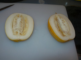 15 Amazon Tribe Melon Seeds-1324 - £3.13 GBP