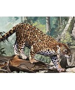 Original Oil Painting Wildlife Jaguar Artist Lowell shapley - $50,000.00