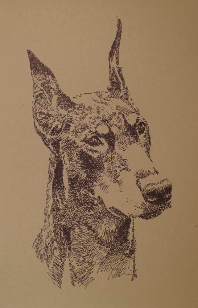 DOBERMAN PINSCHER DOG ART PRINT #96 Kline adds your dogs name free. DOBIE gift