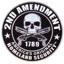 DELUXE JUMBO EMBROIDERIED 2nd AMENDMENT HOMELAND SECURITY PATCH protect ... - $34.07