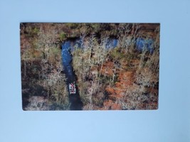 Postcard Jungle Boat Cruise near Skull Lake Okefenokee Swamp Park Georgia USA  - £6.24 GBP