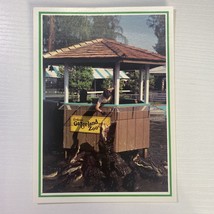 Gatorland Gator Jumparoo Show Postcard Green Border - $2.91