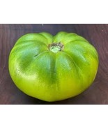 KBS 50 Seeds Cherokee Green Tomato Juicy Tomatoe Vegetable Edible Food H... - $11.12