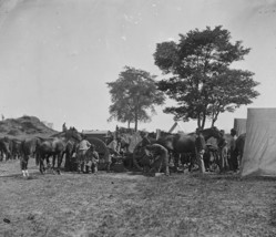 Union Blacksmith Shoeing Horses Antietam Potomac New 8x10 US Civil War Photo - £7.15 GBP