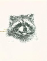 #132 RACCOON portrait wild life art print  * Pen &amp; ink drawing * Jan Jel... - $12.38