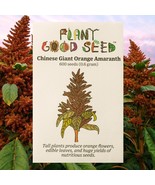 PSA Lilium Martagon Var Painted Ladies 8 Seeds Fast Grow - $21.55 CAD