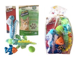 Cat Fun Interactive Fun In The Sun 5 Piece Catnip Play Kitten Toys - £17.37 GBP+