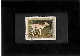 Tchotchke Framed Stamp Art - Wildlife - White Tail Deer - $9.99