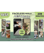 Aesthetic Instagram Reels PLR MRR Videos - €17,04 EUR
