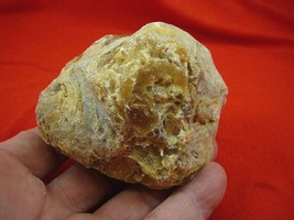 (k-2110) 140 g Rare Kauri tree Gum copal young Amber New Zealand Tane Ma... - $118.19