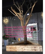 European Style Indoor Natural Bark Trunks Clothing Store Window Shape, 3... - $1,380.00