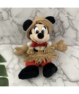 Disney World Frontierland Minnie Mouse Bean Bag Plush Stuffed Toy New Co... - $25.49 CAD