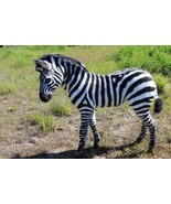Toy Zebra. Custom Pet Plush. Art Doll Animal. Poseable Art Doll. Realist... - $4,686.00