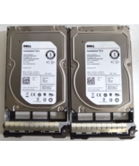 2 X Dell Constellation ES.2 3TB 3.5&quot; SAS Server HDD - ST33000650SS WITH ... - £36.01 GBP