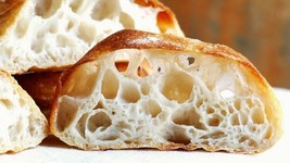 Fresh Sourdough Starter Yeast San Francisco The Beast 10 Starters In 1 Fresh Z - £9.27 GBP